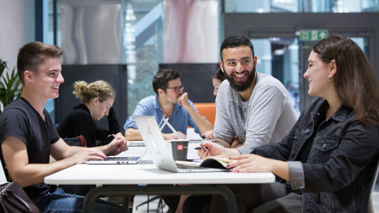 A group of students study together